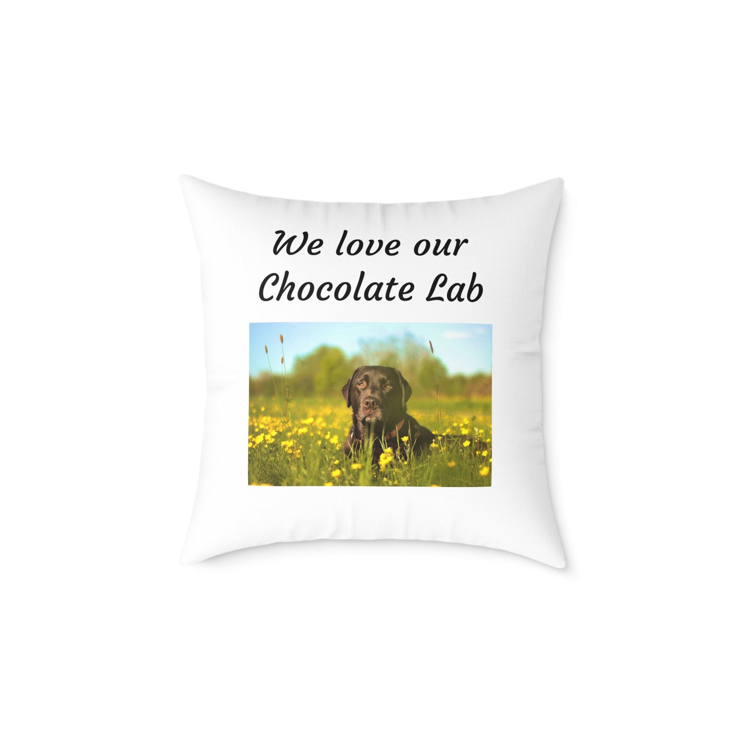 Square Pillow - "We Love Our Chocolate Lab"
