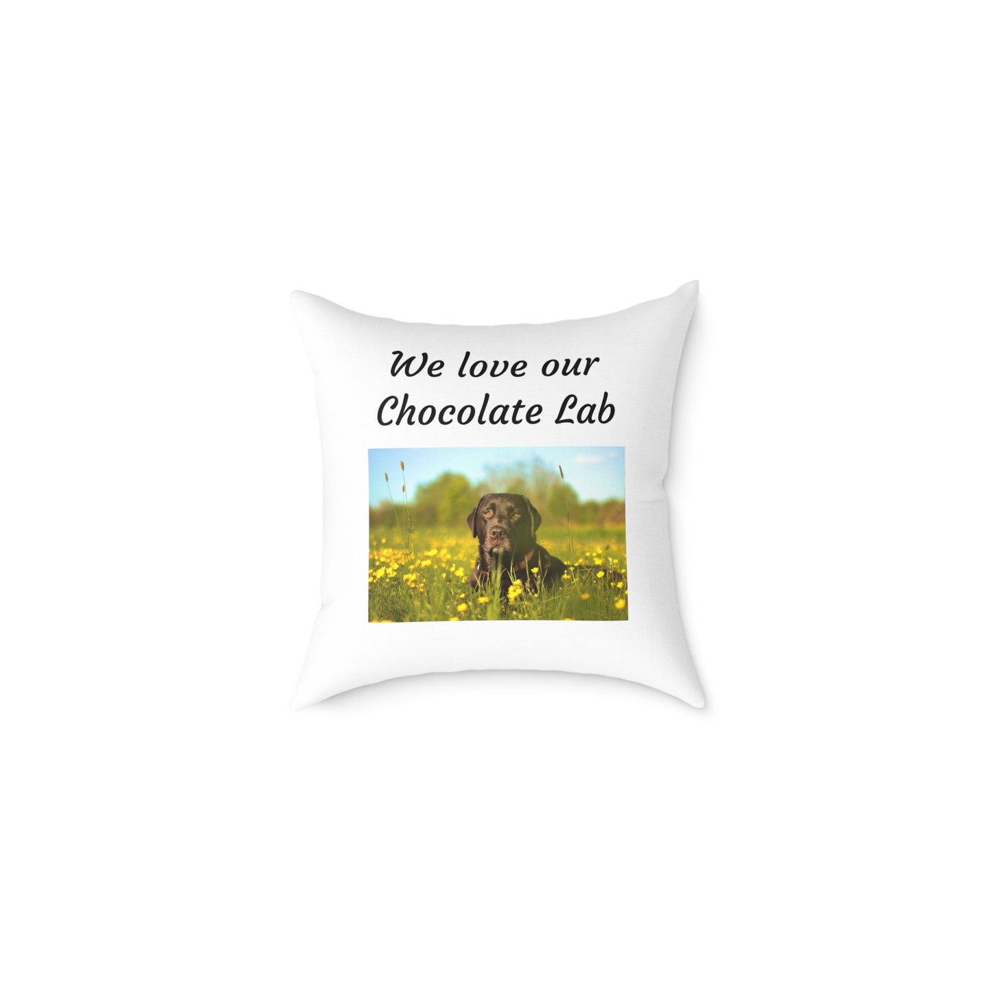 Square Pillow - "We Love Our Chocolate Lab"