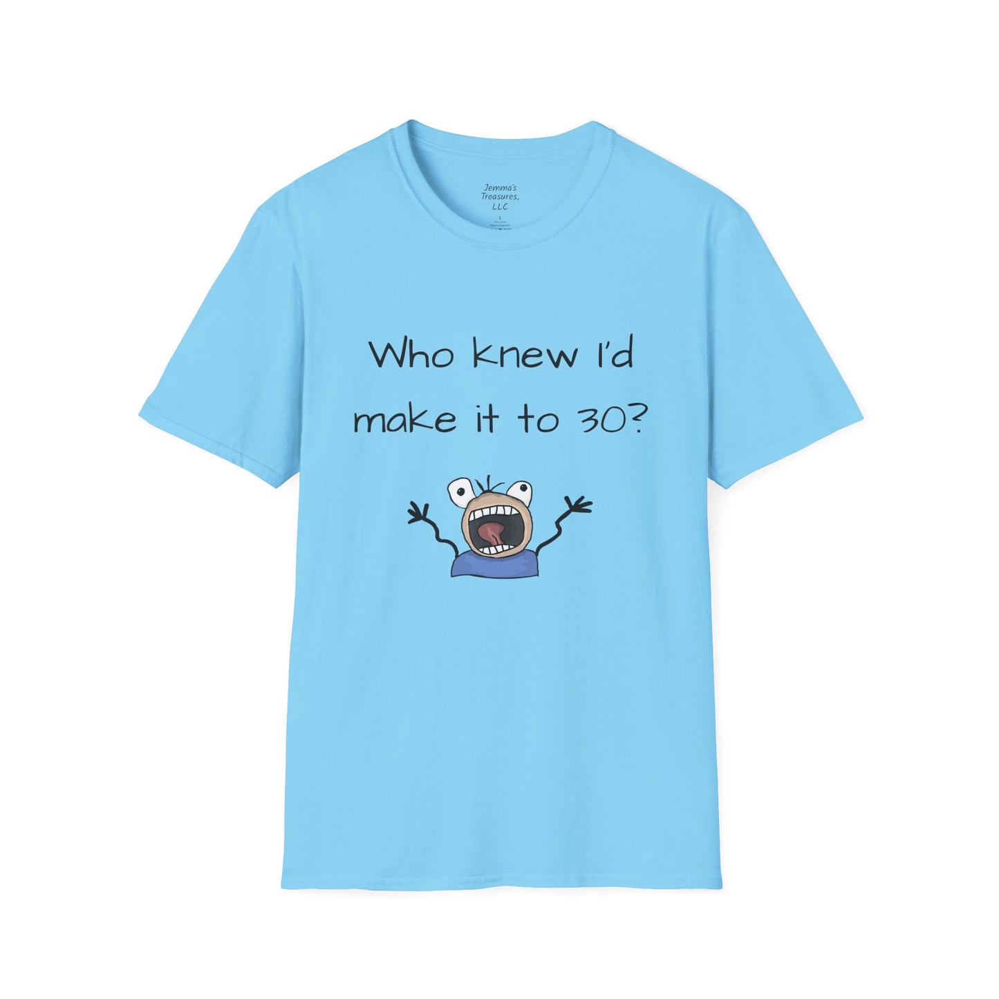 Unisex Softstyle T-Shirt - 30. Geburtstag