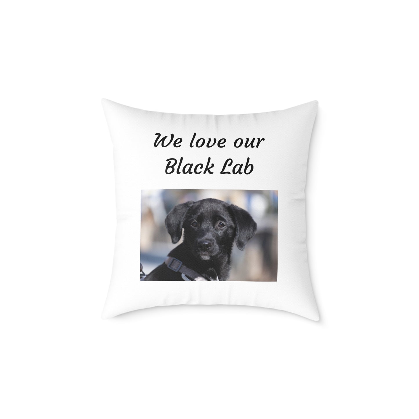 Square Pillow - "We Love Our Black Lab"