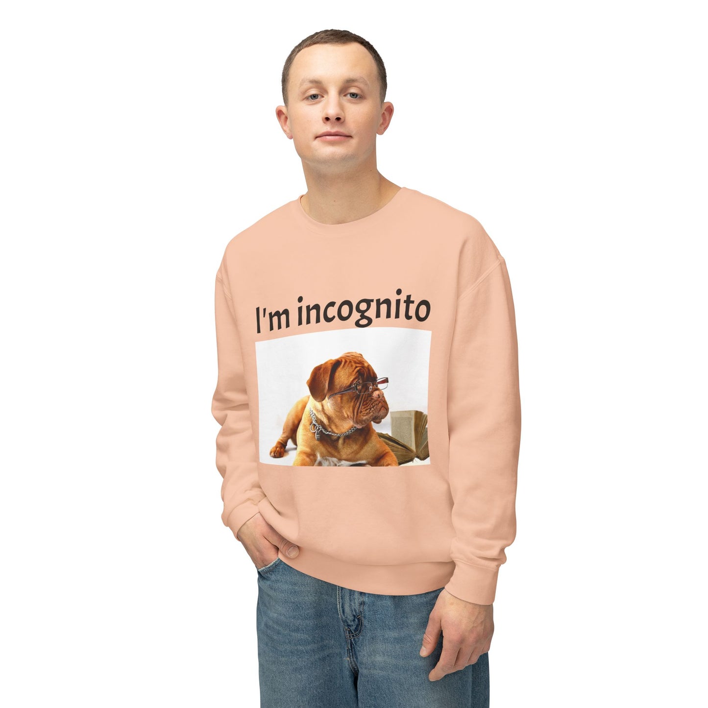 Unisex Lightweight Sweatshirt - "I'm Incognito"