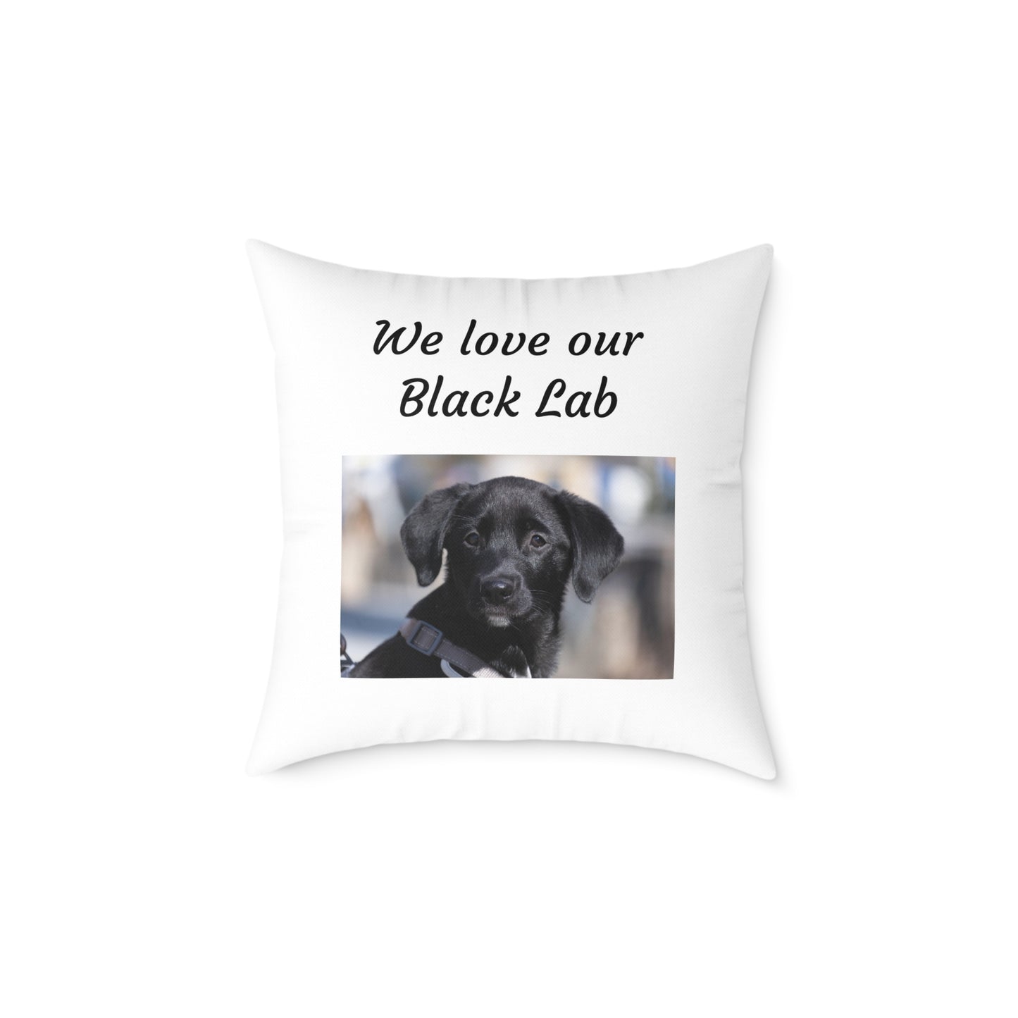 Square Pillow - "We Love Our Black Lab"