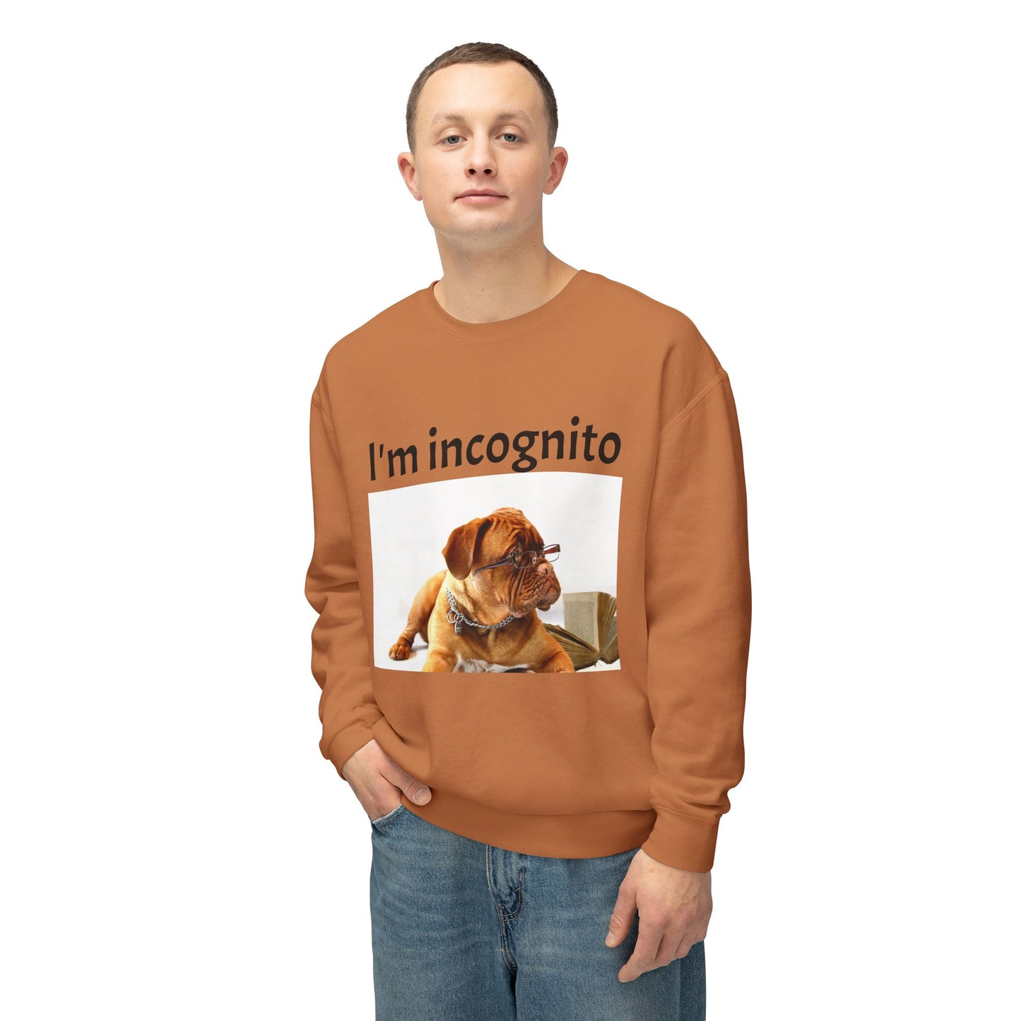 Unisex Lightweight Sweatshirt - "I'm Incognito"