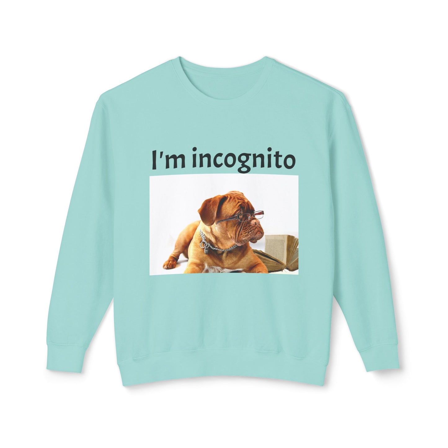Unisex Lightweight Sweatshirt - "I'm Incognito"