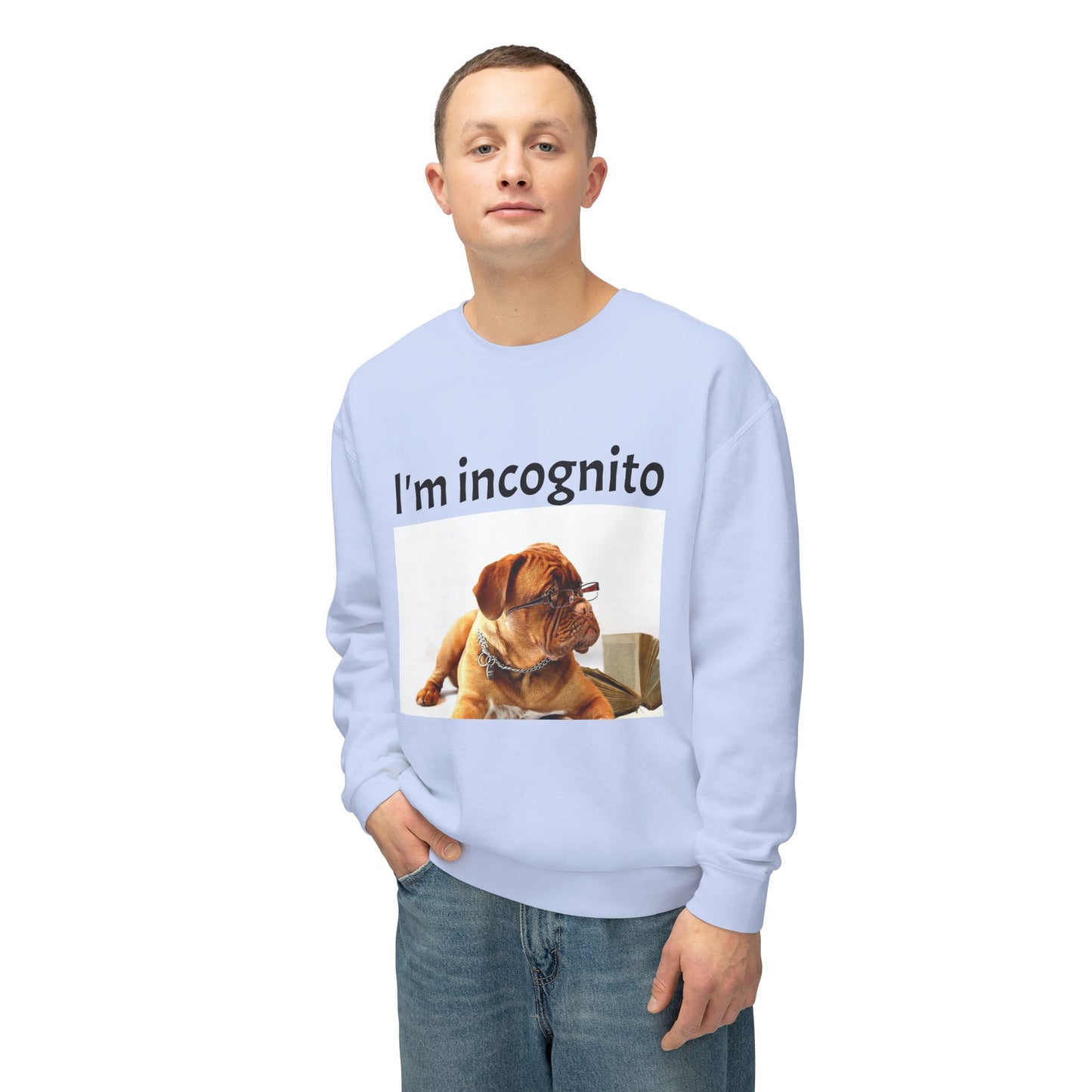 Unisex Lightweight Sweatshirt - "I'm Incognito"
